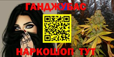 хмурый Сланцы